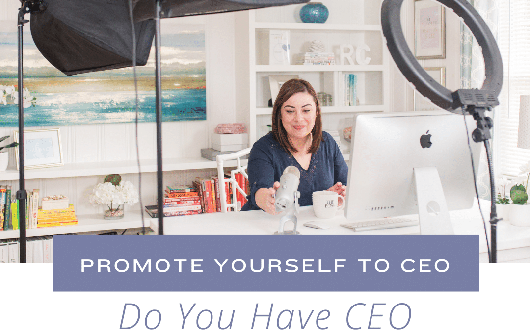 Do You Have CEO Level Support?