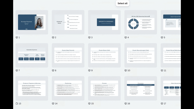 Custom CEO Strategy Playbook